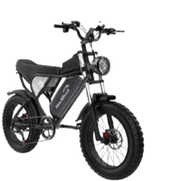 دراجة2024 صحراوي 48 فولت