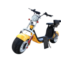 الهارلي العملاق ٦٠ فولت ٢٠٢٤