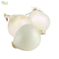 بصل ابيض كيلو