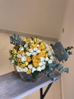 فازا روز و بيبي روز