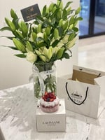 ريدفلفيت كيك وفازا كازابلانكا بالجوري