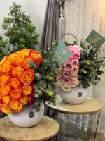 فازا 20 ورده جوري وايكوليبتس