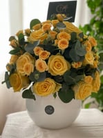 فازا روز وبيبي روز