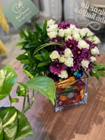 فازا ماكنتوش