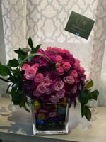 فازا ماكنتوش