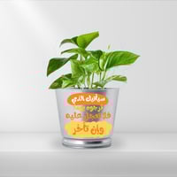 زرعة بوتس داخل علبة معدنية برسالة محفزة سيأتيك الذ...