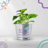 طباعة زرعة بوتس داخل علبة معدنية بتصميمك الخاص