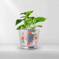 زرعة بوتس داخل علبة معدنية برسالة محفزة لي صاحب