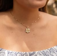 سلسال زهرة الكرز الابيض