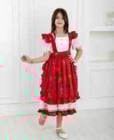 فستان شالكي أنيق