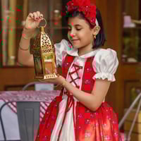 فستان شالكي جديد