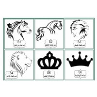 سديري ملكي فضي