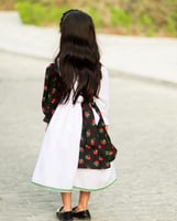 فستان شالكي بلونين أنيق