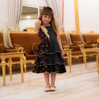 فستان شالكي اسود أنيق