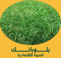 بلوبانك ( العبوة الإقتصادية )