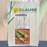 كوسة ياسمينا F1 كلوز - باكت 1000 بذرة