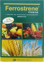 حديد فيروسترين 1Kg