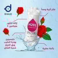 فلتر 2 في 1 فيتامينات وصدأ (ورد طائفي)