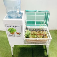 مشتل النعناع المتكامل