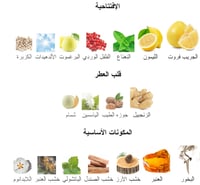 زيت عطري مستوحى من بلو دي شانيل - شانيل