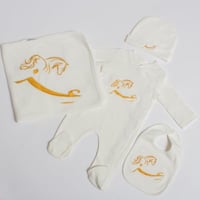 طقم استقبال مميز 4 قطع مطرّز