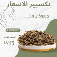 عود موروكي 16