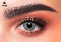 ذهب عدسات يومية RAIN رقم 26