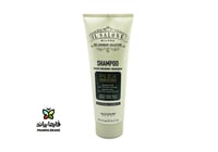 ال صالون شامبوبلكس بالكيراتين 250مل