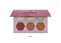 ميك اوفر 22 باليت الوجه الاساسي اضائة وبلاشر M4001