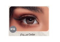 ايكو عدسات يومية CEDAR رقم 16