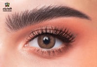 ذهب عدسات يومية PERLE رقم 24