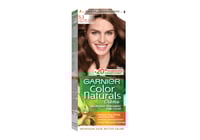 غارنييه صبغة شعر بني فاتح ذهبي رقم 5.3