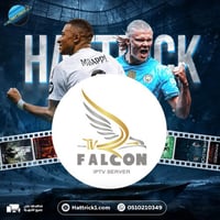 أشتراك فالكون 3 شهور