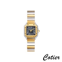 ذهبي فضي أسود