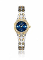 ذهبي فضي أزرق