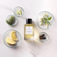 عطر نايس برغموت من ايسينشيال بارفيوم 100 مل