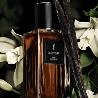 عطر ايف سان لوران بابيكات رو بوربون او دو بارفيوم...