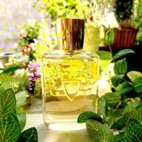 عطر بارفيوم دارلي دي مارلي او دو بارفيوم 125 ملي (...