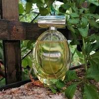 عطر بيوتي من كالفن كلاين او دو بارفيوم نسائي 100 م...