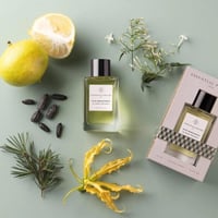 عطر نايس برغموت من ايسينشيال بارفيوم 100 مل