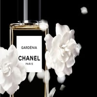 عطر غاردينيا من شانيل او دو بارفيوم 75 مل (تستر)