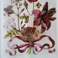 عطر كالفن كلاين اندليس ايفوريا او دو تواليت نسائي...