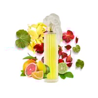 عطر بلازير نسائي من جيه كازانوفا او دو بارفيوم 100...