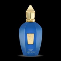 عطر بلو هوب من زيرجوف او دو بارفيوم 100 مل ( تستر...