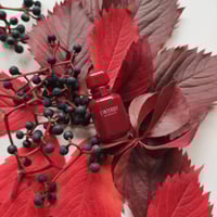 عطر لا انترديت روج التيم من جيفنشي 80 مل