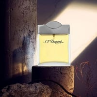 عطر اس تي ديبونت بور هوم او دو تواليت رجالي 100 مل