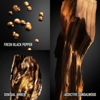 عطر باكو رابان انفكتوس ابسولو بارفيوم انتنس 100 مل...