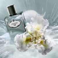 عطر برادا ايرس سيدار او دو بارفيوم 100 مل