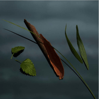 عطر مستر بربري او دو بارفيوم رجالي 100 مل(تستر)