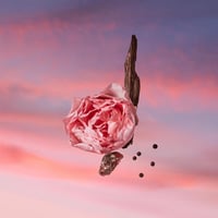 عطر ليه سابل روز بارفيوم من لويس فيتون 100 مل (تست...